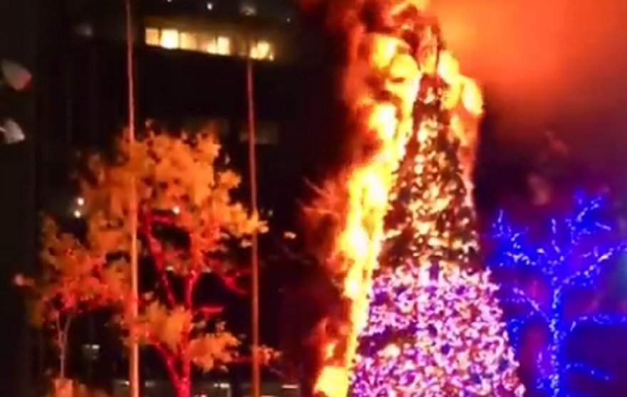 Fox News Christmas Tree Lit on Fire, Suspect in Custody (VIDEOS) The