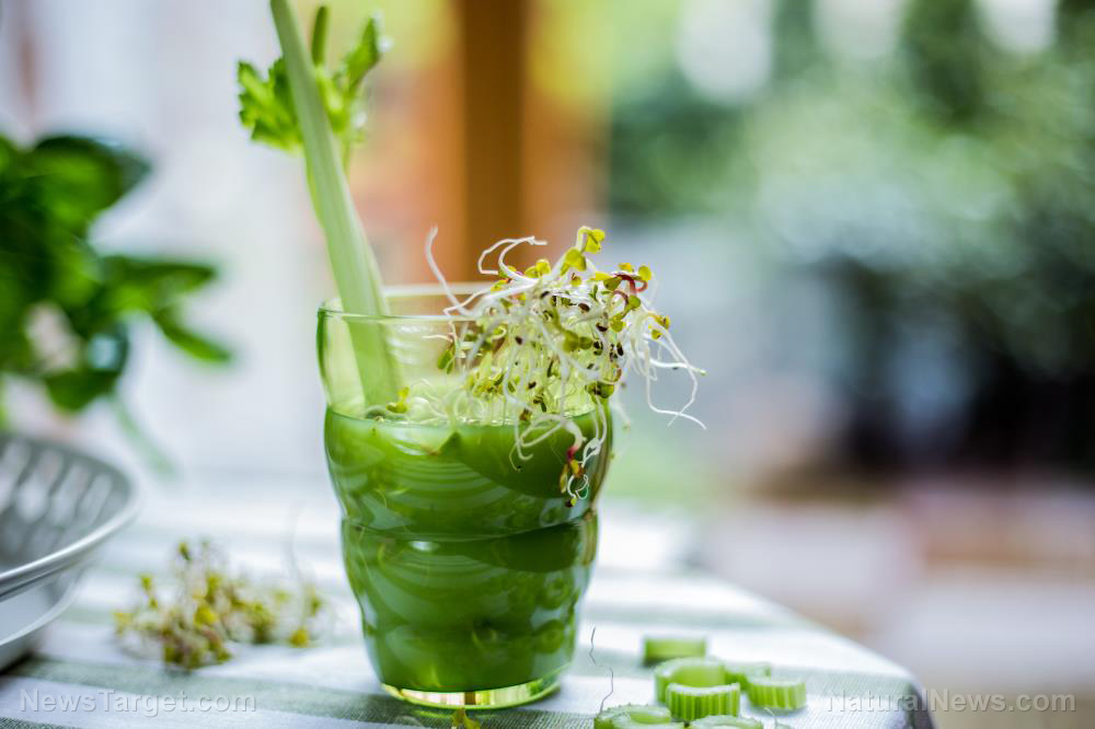 celery:-a-heart-healthy-vegetable-with-cancer-fighting-properties